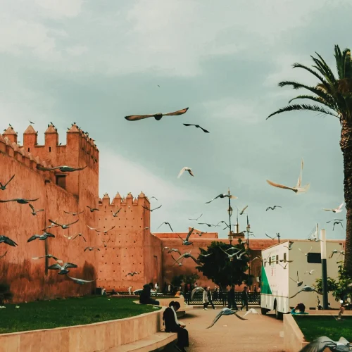 maroc