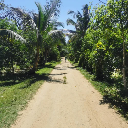 madagascar-page-destination